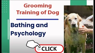 Dog Psychology & Bathing Training | Grooming a Dog