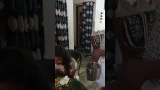 ചേട്ടാ കുറച്ച്ചോറിടട്ടെ #comedy #funny #viralvideo #shorts #short #shortvideo #shortsfeed #mallu #yt