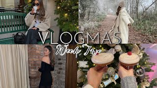 VLOGMAS WEEK TWO | A WEEK OF MY BIRTHDAY CELEBRATIONS & DECORATING THE TREE | Amy Beth