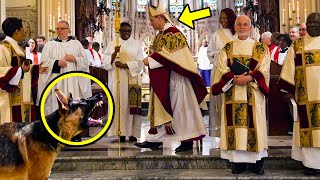 Estaba A Punto De Convertirse En Sacerdote, Pero Un Perro Vio Algo Extraño Y Detuvo La Ceremonia