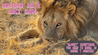 Okavango Delta, Botswana - Quick Guide