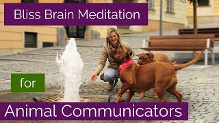 Bliss Brain Meditation for Animal Communicators and Healers