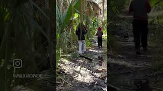 #muddytrails Hiking Bulow Creek State Park