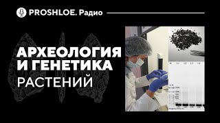 Археология и Генетика растений