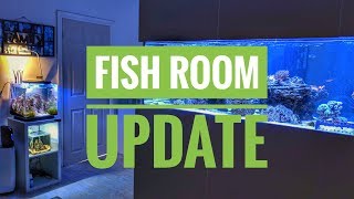 Live Fish Room Update FAIL