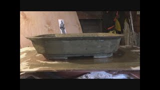 Cement Bonsai Pots (4 Methods) and Boxwood Bonsai Pictures From Alberta Friend