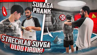 SUBA QOYGA PRANK 😆. CHIKIB KETTI 🥲