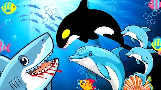 🐠Fish Cartoon Animated Video in English | Shark Fish Cartoon | 🐬Dolphin Cartoon | Baby Shark Cartoon