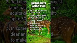 unique and interesting facts about deer #shorts @TBC_GROUP.