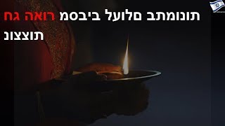 חג האור מסביב לעולם בתמונות נוצצות