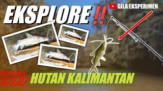 EXPLORE KALIMANTAN‼️MANCING & MENIKMATI SUARA ALAM NYA BIKIN CANDU‼️#eksplore #gilaeksperimen