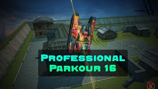 Proffesionaly Parkour #16