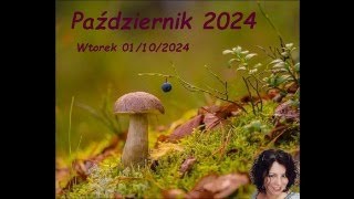 Wtorek 01/10/2024 - dniówka