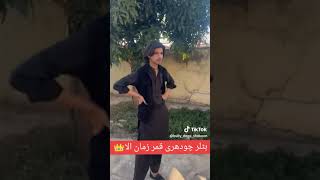 bully kutta/bully dog/Pakistani fighters bully dog/bully kutta tiktok/bully kutta status