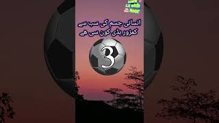 General knowledge info - VeryInteresting gk in urdu hindhi paheliyan #riddles #gkinfo #2023