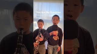 You are my sunshine#clarinet #voice #guitar