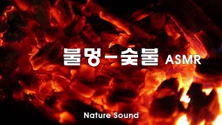 편안하고 따뜻한 불멍  -  숯불, 장작, 모닥불 ASMR