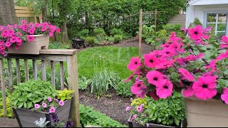 EARLY MAY GARDEN! Allium! Columbine! Impatiens!