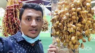 Date Festival | Qatar Date Festival 2022 | Doha Qatar | Vlog | Jordan vlogs #Datefestival #dohaqatar