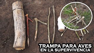 Trampa Para Aves de Supervivencia (CONSIGUE COMIDA EN LA NATURALEZA)  - TUTORIAL - YMX supervivencia