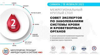 Совет экспертов по заболеваниям системы крови и кроветворных органов, Самара, зал №2