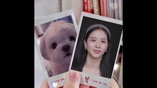 Jisoo и её собака♡ #shortvideo #blackpink #kimjisoo