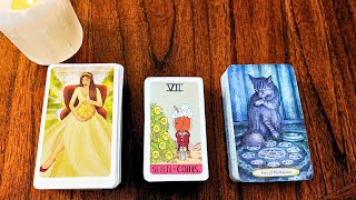 Pick a Card 😇 Spirit has a message about the new beginning😏