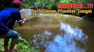 GANAS..!!! Umpan Di Sambar Ikan BESAR,,,