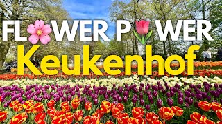 KEUKENHOF Netherlands Visit