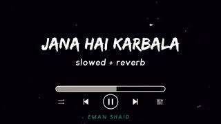 Jana Hai Karbala | Ali Shanawar | Slowed + Reverb