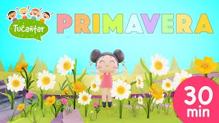 Música Primavera 🌼 | Tucantar - Música Infantil