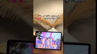 نور وليد مقداد في حفله كشف الجنين😱🤗