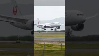 Japan Airlines 787 WINDY Landing in Honolulu