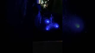 Solar Powered Submersible Pond Lights | Tsunlighting