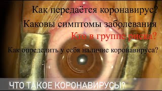 ⛔КОРОНАВИРУС В РОССИИ? Последние новости, Вирус из Китая/Вирус в России 2020. Симптомы вируса