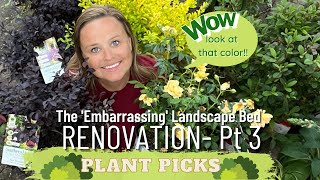 Reviving an Embarrassing Landscape | Sentimental & Detailed Plant Selection | The Southern Daisy