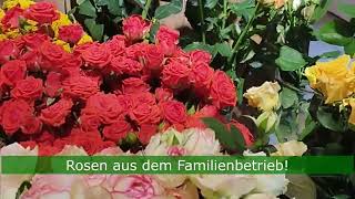 Blumen Anna Zoubek, Tulln