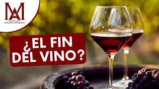 DATOS CURIOSOS DEL VINO - PHYLLOXERA VASTRATIX | HISTORIA DEL VINO