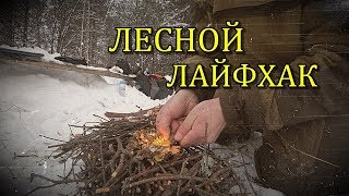 ПОХОД/ЛАЙФХАК/ОБРАЩЕНИЕ К ДИЗЛАЙЩИКАМ/CAMPING/LIFE HACK/ACCESS DISSEISIN...