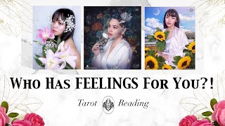 💖WHO HAS FEELINGS FOR YOU?! and what do they want💖(pick a card)