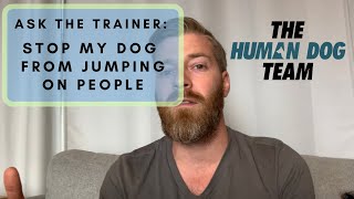 Stop Dog From Jumping On People - Dog Training - Ask the Trainer - The Human Dog Team