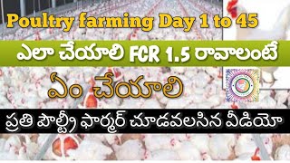 How to get 1.5 FCR in poultry farm|పౌల్ట్రీ ఫామ్ లో fcr 1 .5 రావాలంటే ఎలాంటి మేనేజ్మెంట్ ఎలా చేయాలి