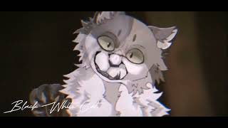 Warrior cats clip TO BE BEAUTIFUL