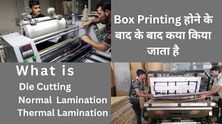 LAMINATION & DIE CUT MACHINE PROCESS | CUSTOMISED PRINTING AND PACKAGING | FACTORY VISIT VIDEO