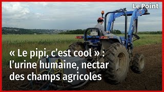 « Le pipi, c’est cool » : l’urine humaine, nectar des champs agricoles