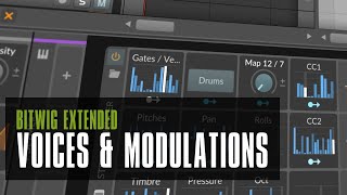 2 things you have not done before in Bitwig V5