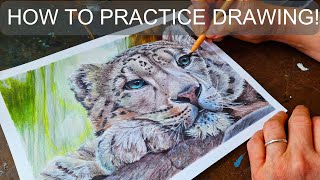 Six Steps to ACTUALLY Improve Your Drawing!