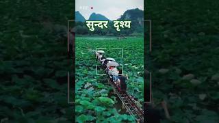 तू है तो दिल धड़कता है तू हैं सांस #music #song #love #ytshorts #life #ytshorts #viral #trending