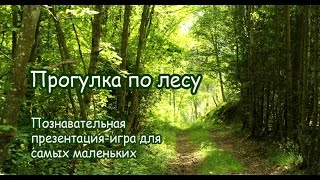 Прогулка по лесу. Развивающая презентация-игра для самых маленьких