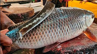 Amazing Fish cutting Master #fastchickencutting #cutting#fish#chicken